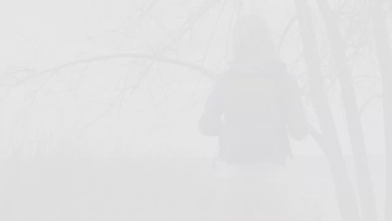 Travelon Packable Backpack